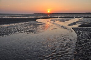 Niet-geclassificeerde afbeelding, 3 van 51, knop