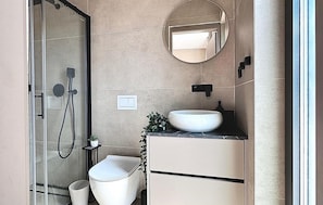 A modern bathroom with a glass shower enclosure, a white sink, and a mirror above the sink.