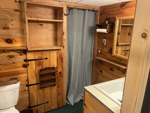 Shower, hair dryer, soap, shampoo - Cozy home in the ADK, amazing location! (Thendara)