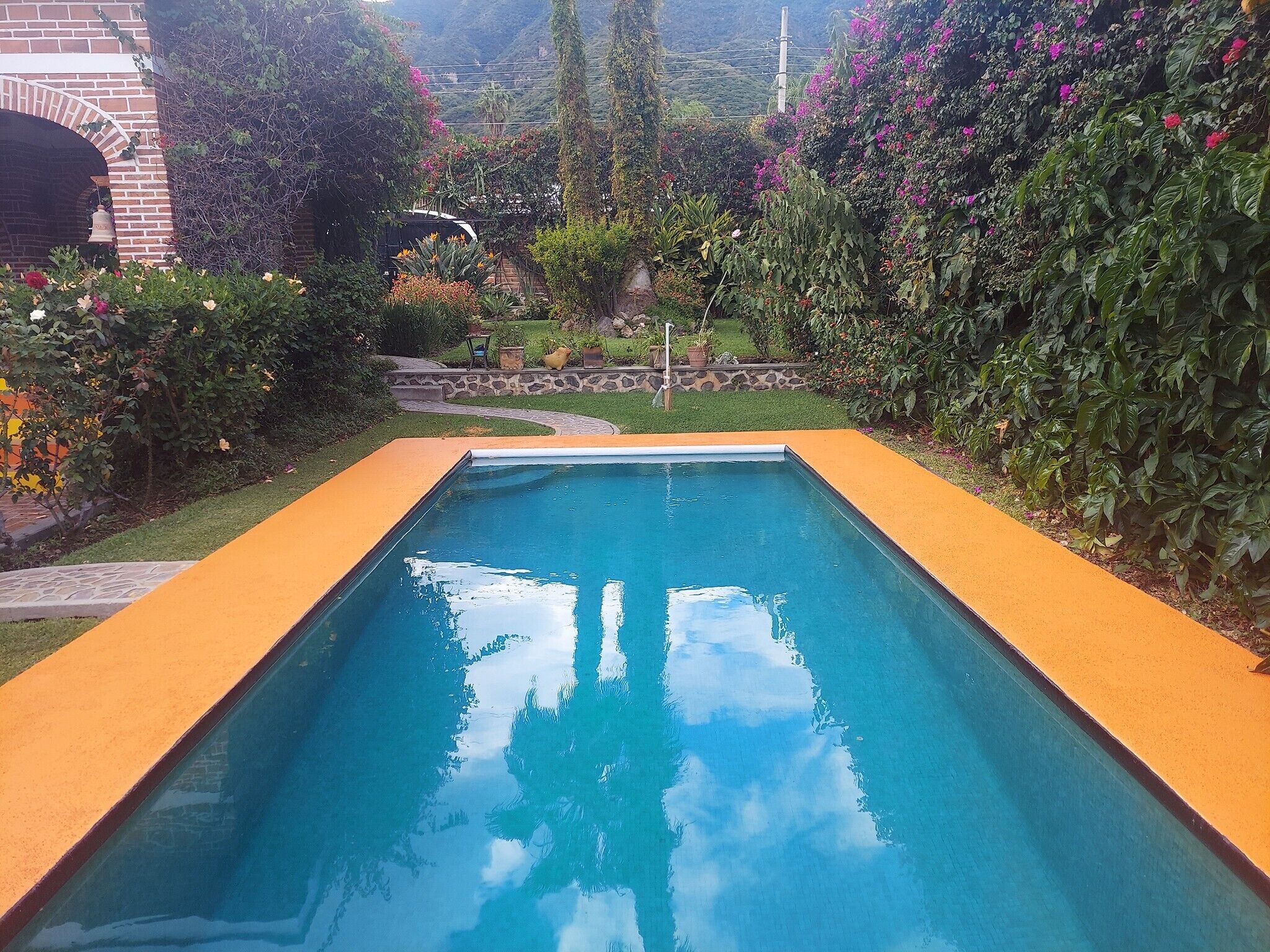 A rectangular swimming pool with a smooth, reflective surface, surrounded by a low brick wall and a variety of lush greenery and flowering plants.