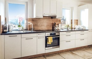 Fridge, microwave, stovetop, dishwasher - Ferienhaus in Feldbach (Feldbach)