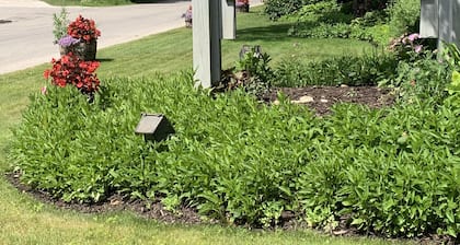 Ephraim Gem | Balcony Views + Walk to Waterfront, Shops & Dining