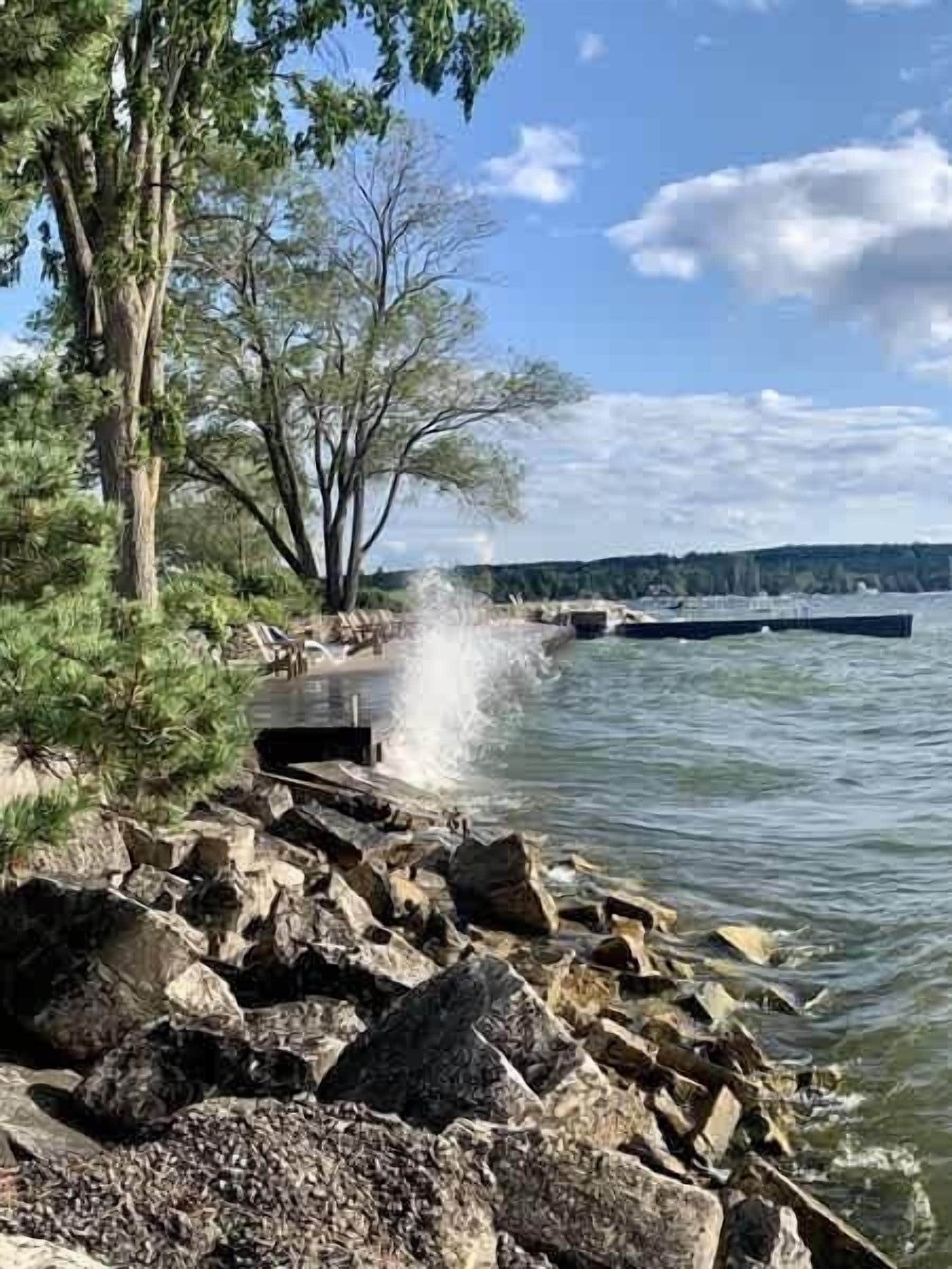 A rocky shoreline with trees and a body of water.