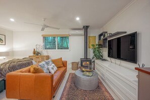 TV, fireplace, Netflix, streaming services