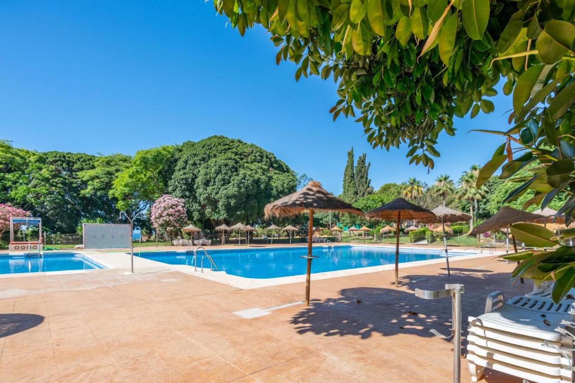 A swimming pool with lounge chairs and umbrellas, surrounded by greenery and trees.