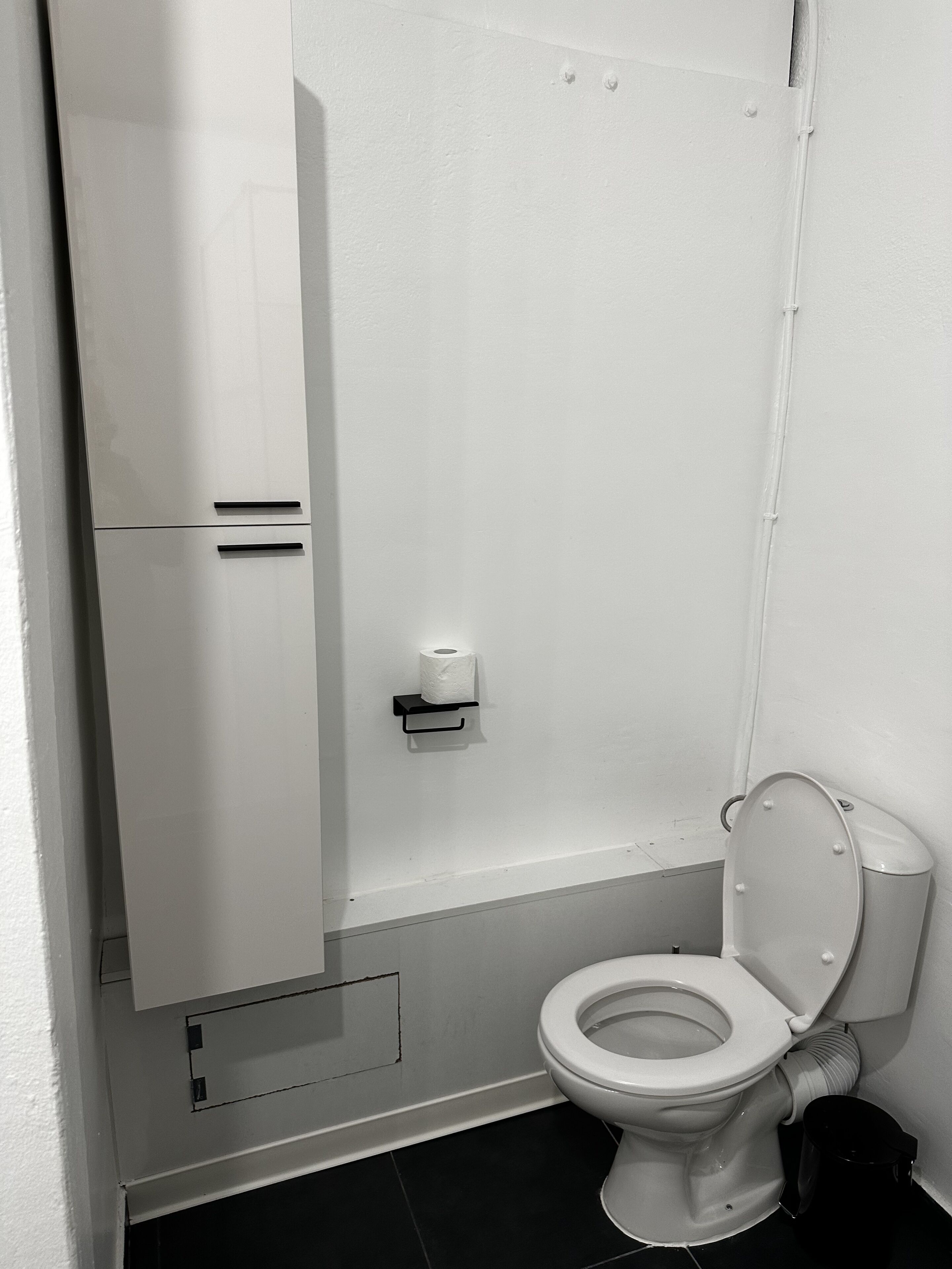 Ein Badezimmer mit Toilette, einem weißen Schrank und einem Toilettenpapierhalter.