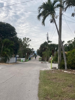 Stroll along a serene, tree-lined street surrounded by lush greenery.