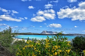 Strandlakens