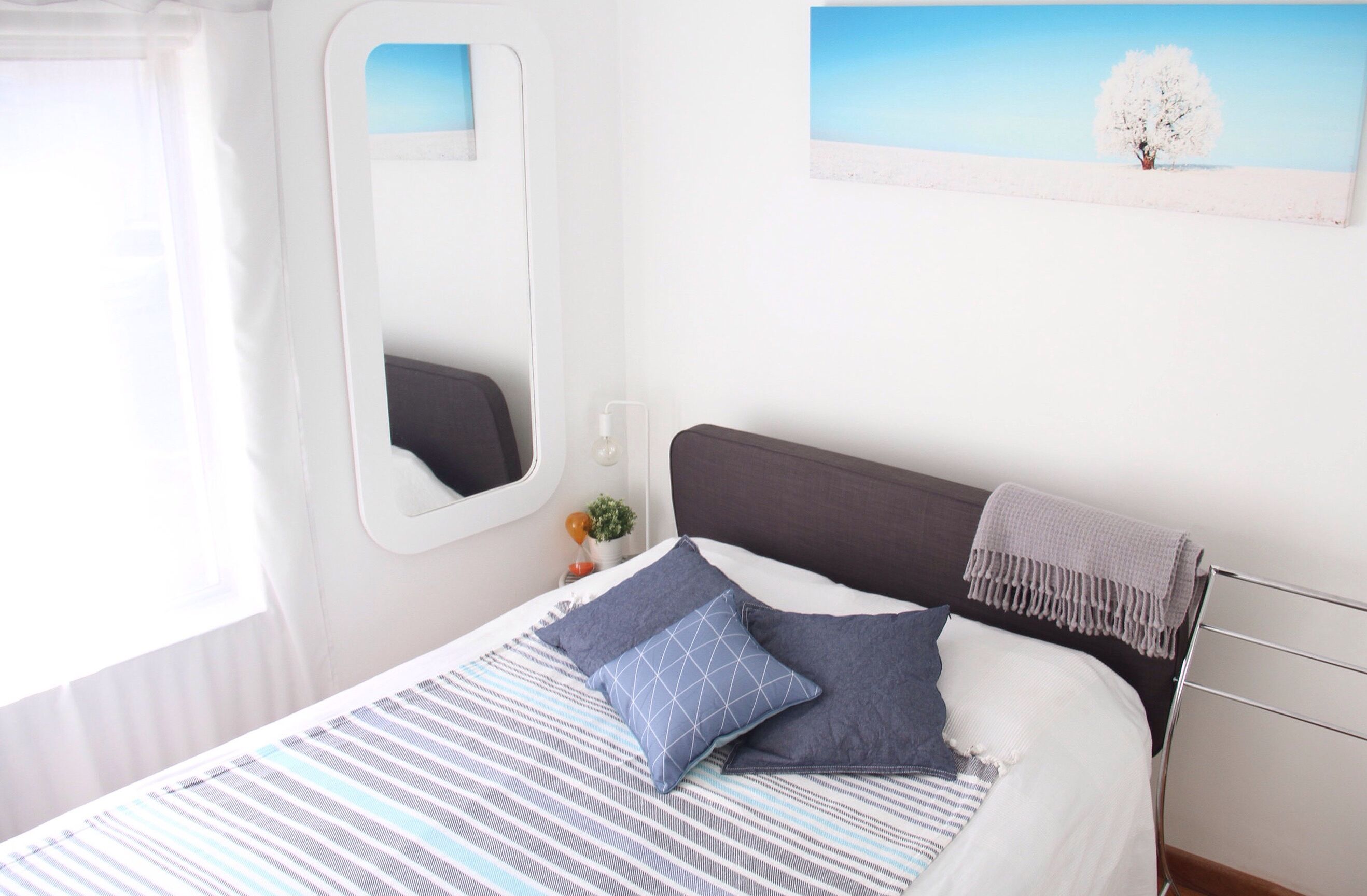 A neatly made bed with striped bedding, a bedside table with a small plant, and a wall-mounted mirror.