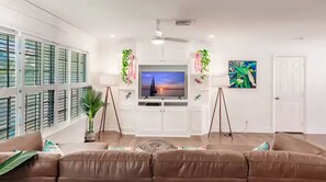 TV