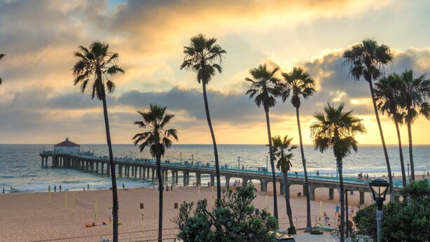 A beach with palm trees, a pier, and the ocean.