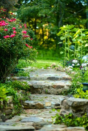 Un chemin de pierres dans un jardin où poussent différentes plantes et fleurs.