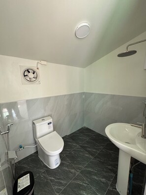 Ein Badezimmer mit Toilette, Waschbecken, Dusche und Deckenventilator.