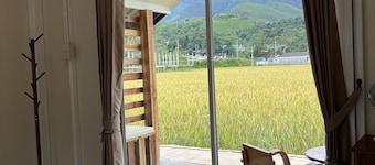 Sapan Dee View