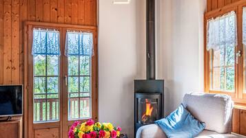 Télévision, cheminée