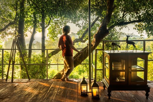 Mountain Top Glamping Star Beds & Bush Bathtubs