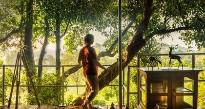 Mountain Top Glamping Star Beds & Bush Bathtubs