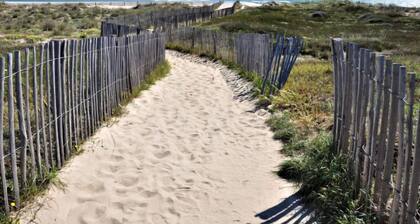 Les violettes 2 by Interhome