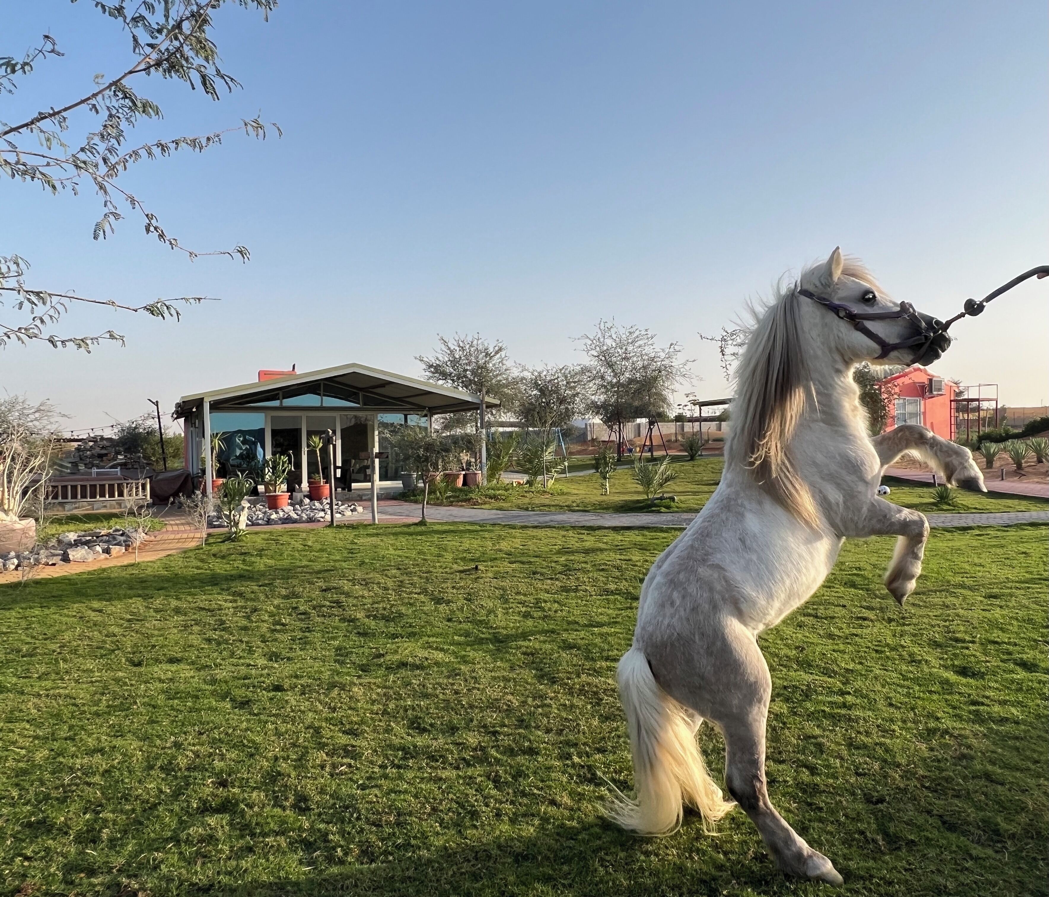 Overnattingsstedets uteområder