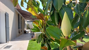 A building with a covered walkway and a well-maintained lawn. - Villa Art-Déco, 5 mn walk from the city center of Saint-Rémy- Pool, Clim - 4ps (Saint-Rémy-de-Provence)
