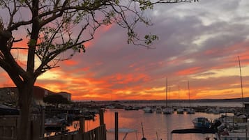 Jachthaven