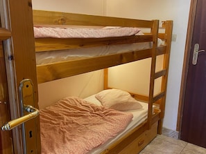 Room - Cozy studio in Châtel center with parking (Châtel)