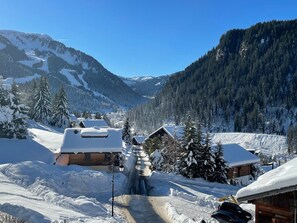 Miscellaneous - Cozy studio in Châtel center with parking (Châtel)