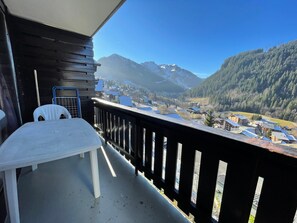 Property grounds - Spacious studio near center and lift with parking (Châtel)