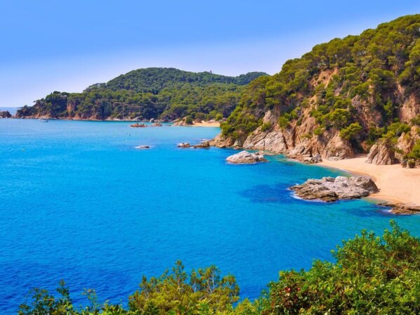 Plage à proximité