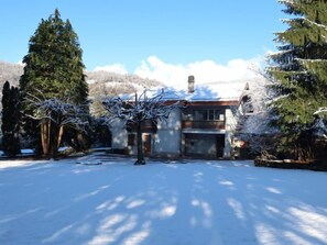 A two-story house with a snow-covered driveway and surrounding trees.