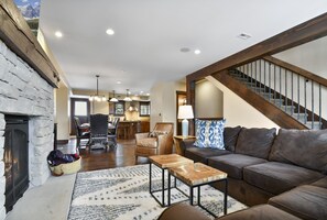 Télévision, cheminée, lecteur de DVD, chaîne hi-fi