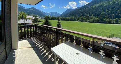 Charmant appartement au centre village, parking et animaux admis