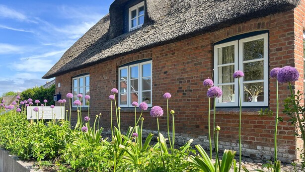Una casa in mattoni con tetto di paglia, finestre con cornice bianca e un giardino fiorito di fiori viola.