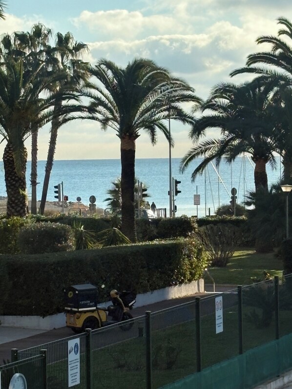Une zone côtière bordée de palmiers, une route où l’on aperçoit un véhicule jaune, et une vue sur la mer.