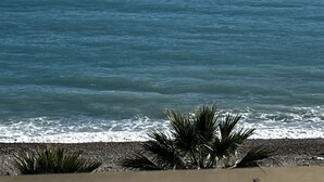 A beach with a clear view of the ocean and some palm trees in the foreground.
