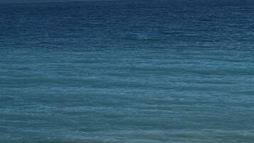 Una spiaggia nelle vicinanze
