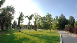 Zona verde bien cuidada con árboles y un camino pavimentado que lleva a un edificio.
