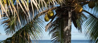 SAINT GILLES LES BAINS, Waterfront, seaside Maison BALEINES, 4 ****