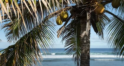 SAINT GILLES LES BAINS, Waterfront, seaside Maison BALEINES, 4 ****