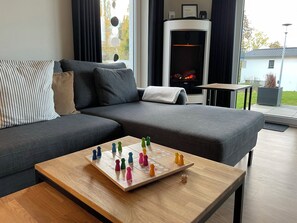 Televisio, takka, DVD-soitin, kirjoja