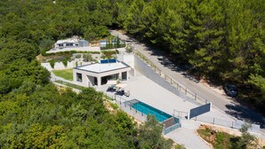 A modern villa with a swimming pool, surrounded by dense forest. - Gorgeous home in Labin (Labin)
