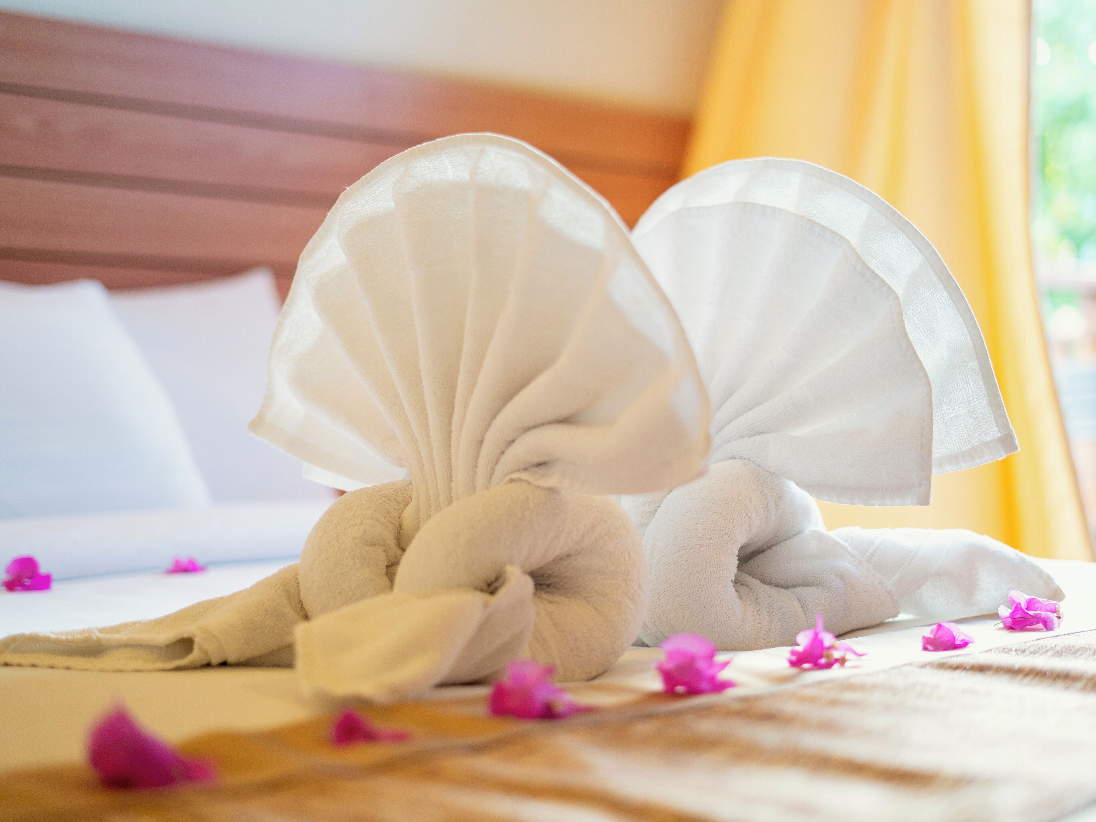 Una cama con una toalla blanca doblada cuidadosamente y un adorno que parece una flor hecha de toalla.