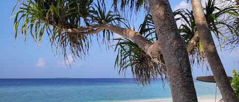 Plage, sable blanc, chaises longues, parasols
