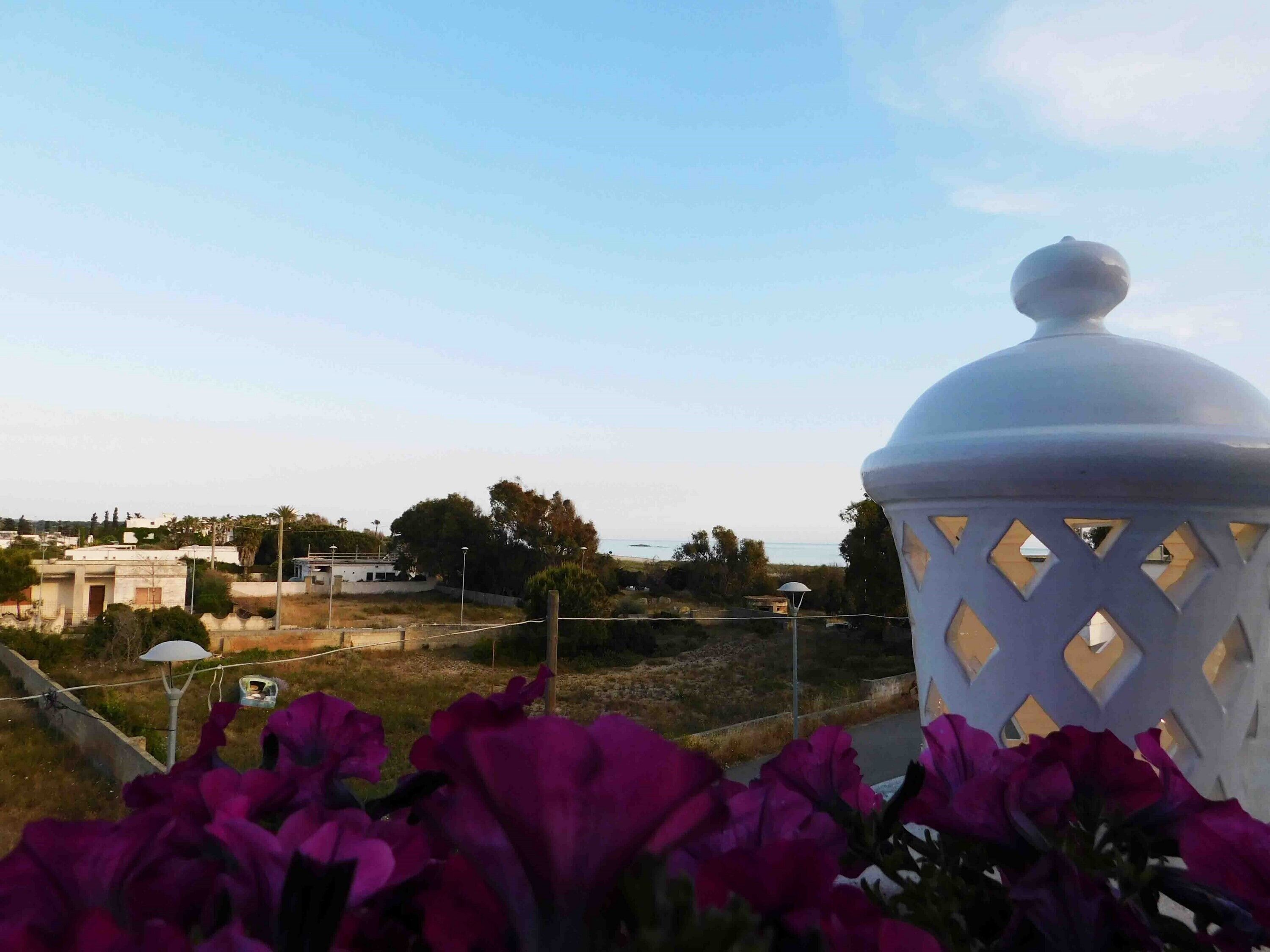 A white lantern with a lattice design, a clear sky, and purple flowers in the foreground.