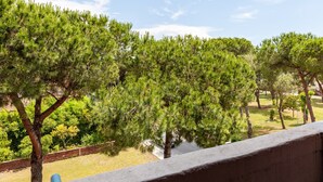 A view of a pine forest with a clear sky.
