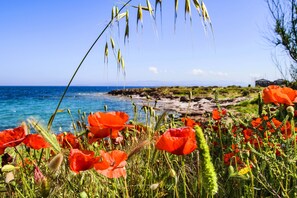 Una spiaggia nelle vicinanze