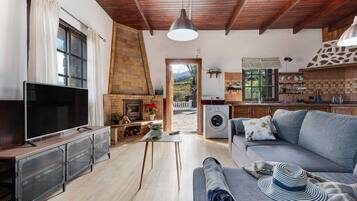 TV, fireplace, ping pong