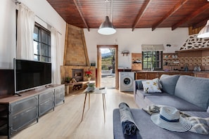 TV, fireplace, table tennis