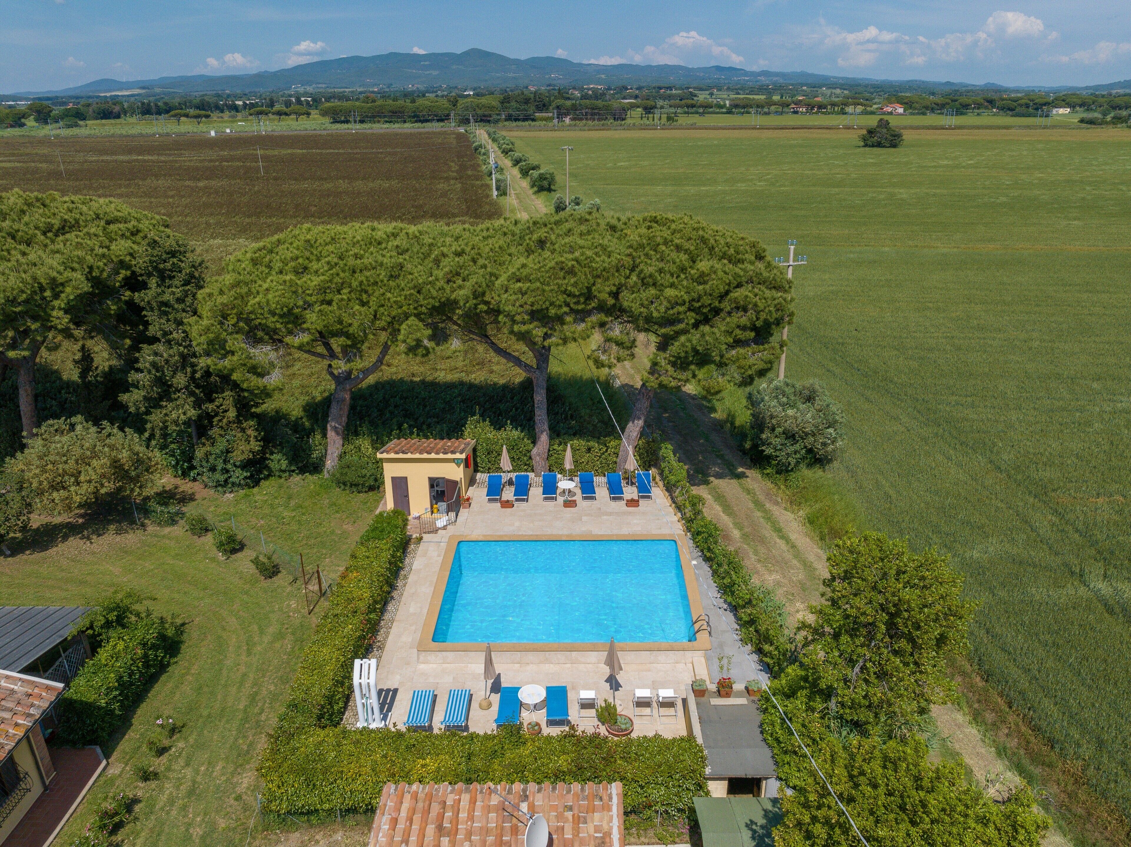 An aerial view of a property with a swimming pool, lounge chairs, and a small building.