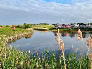 Property grounds - Prospect Lodge -  a meadow lodge that sleeps 6 guests  in 3 bedrooms (Filey)